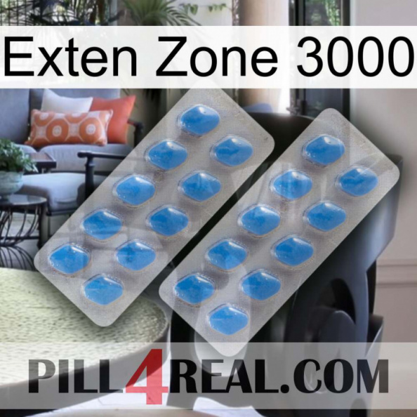 Exten Zone 3000 23.jpg